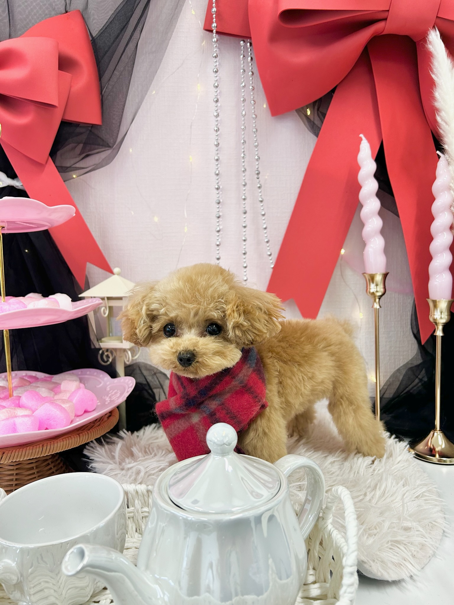 ラムちゃん
